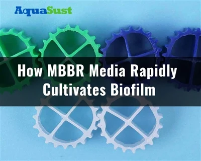 Conas (Imoibreoir Bithscannáin Leaba Bogtha) MBBR Media a Chothaíonn Bithscan...